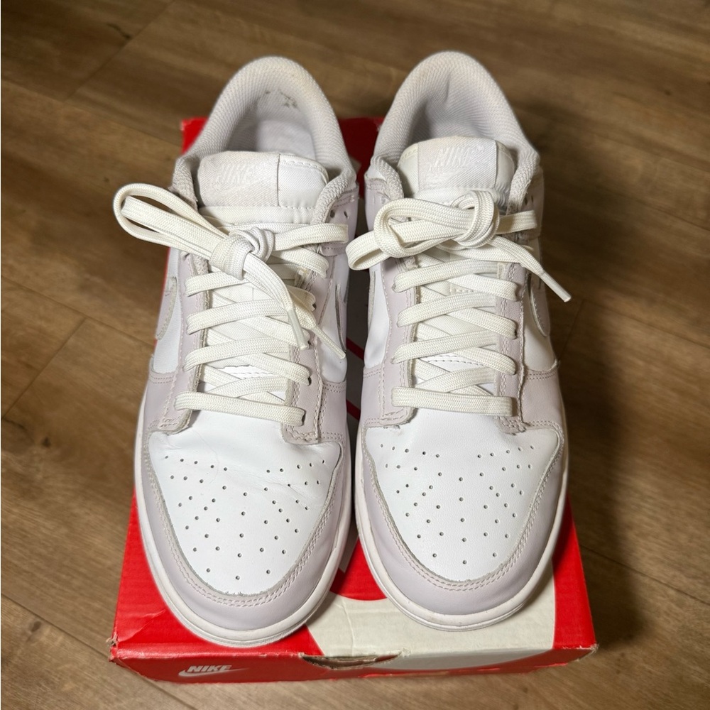 Nike Dunk Low Venice (Women’s)